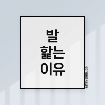 청주 피부 동물병원 추천 강아지 발사탕 원인/강아지 발 핥는 이유