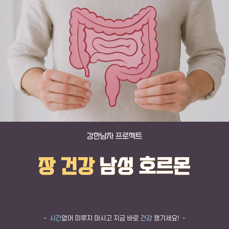 장 건강(장내미생물)과 남성호르몬의 관계 (염증·비만과 연결) : 네이버 블로그