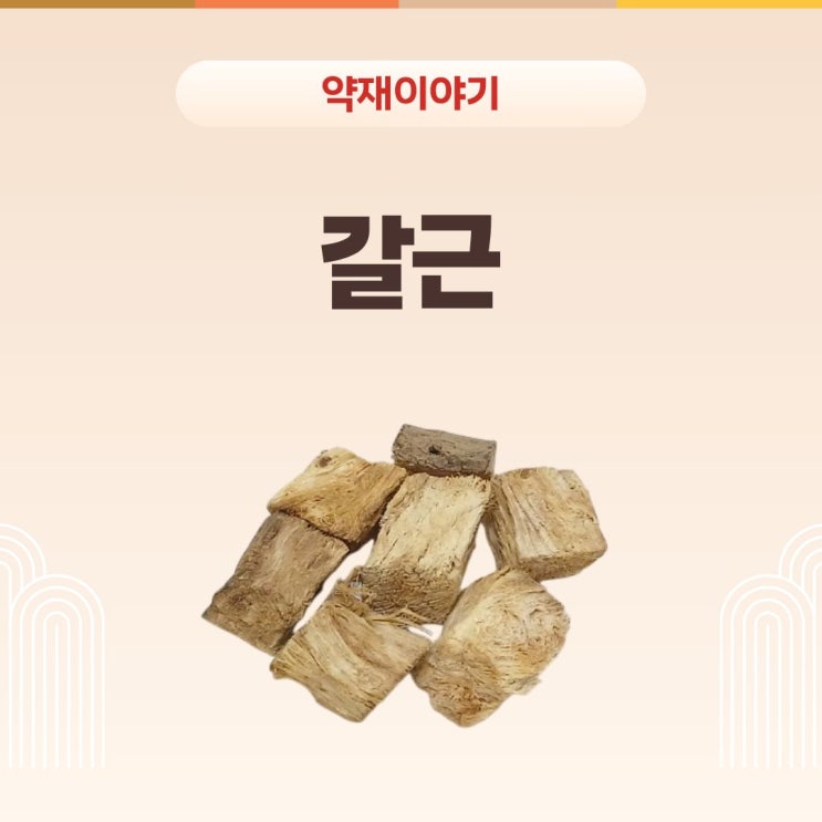 갈근(칡) : 네이버 블로그