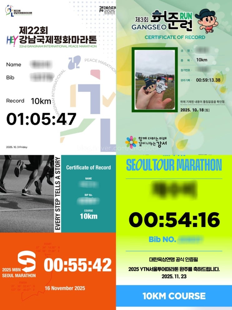 러닝 왕초보의 늦은 2025 10km 마라톤 결산 (feat....