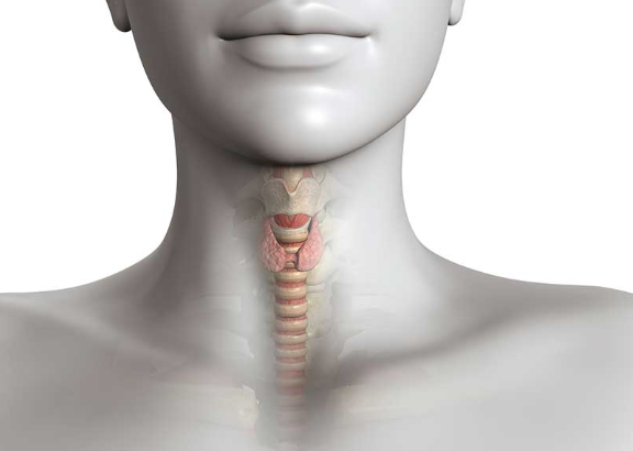 갑상선 혹(낭종, 물혹) 크기 별 증상, 제거 하는 방법 : 네이버 블로그