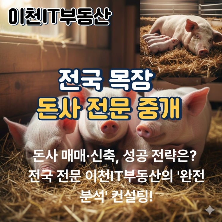 🐖 2026년 돈사 매매·신축, 성공 전략은? 전국 전문 이천IT부동산의 '완전 분석' 컨설팅! : 네이버 블로그