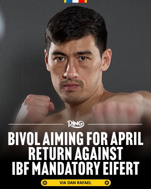 IBF, 비볼 Vs. 아이퍼트 오더 : 네이버 블로그