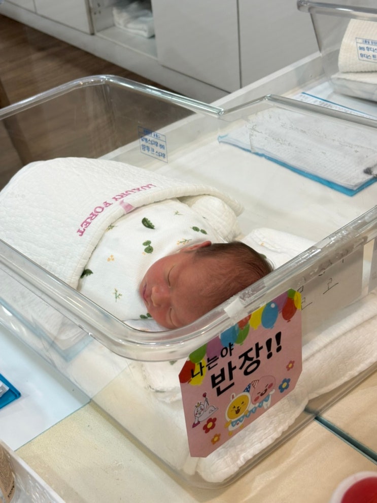 신생아실,럭셔리포레,인큐베이터