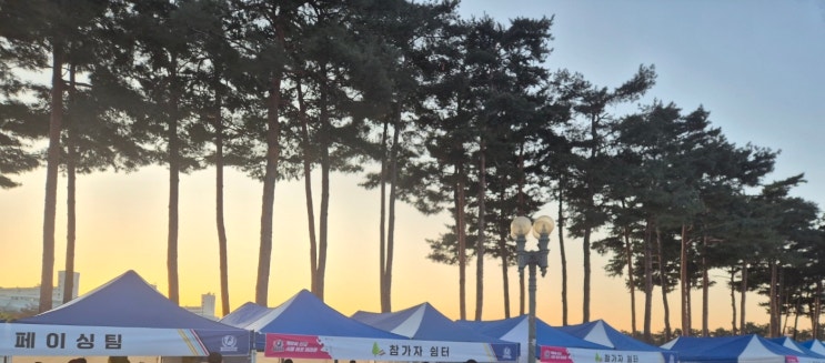 제2회 한강 서울 하프마라톤 하프코스 참가 후기