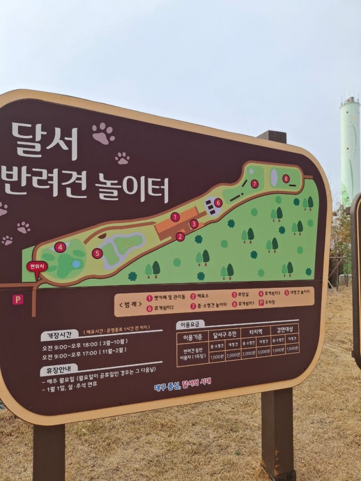 대구 애견 놀이터 달서 반려 견 놀이터 : 네이버 블로그