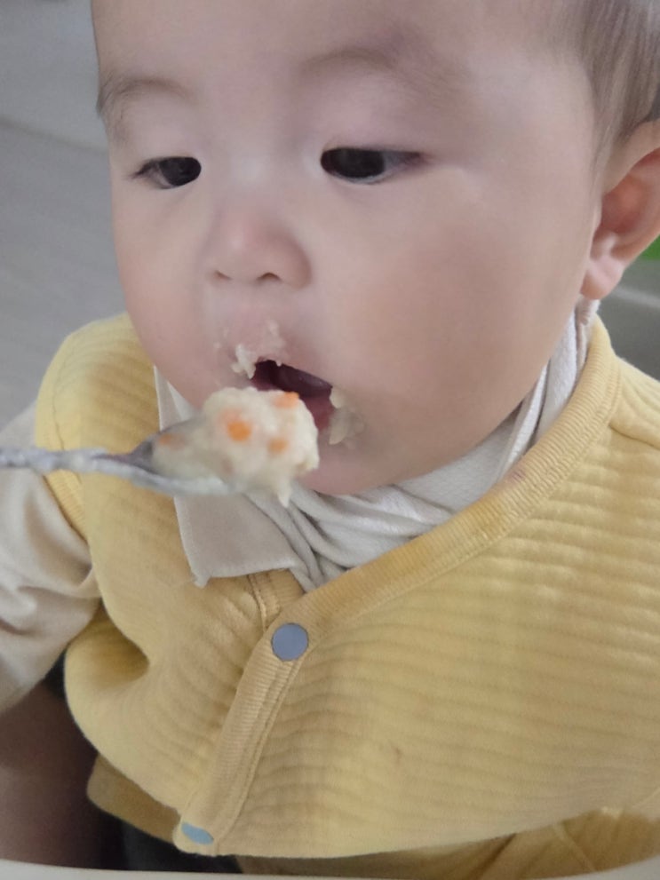 8개월아기 이유식양은? 헷갈리기 쉬운 아기철분 보충 팁 : 네이버 블로그