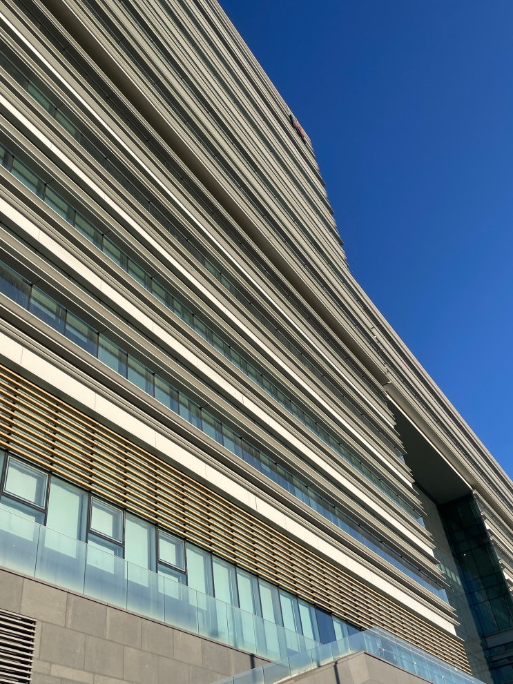 KT AIVLE SCHOOL 판교 교육장 후기 : 네이버 블로그