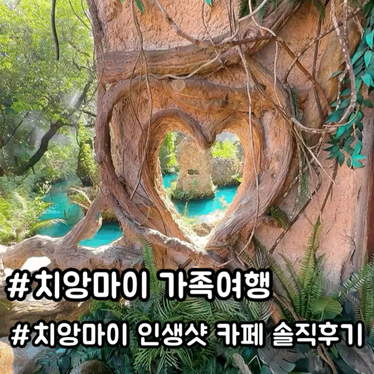 치앙마이 인생 샷 카페 후기｜댄테와다(단테와다 Dantewada Land of Angels....