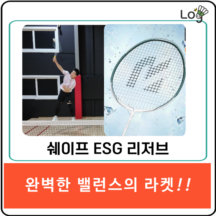 레드썬 배드민턴 라켓 채 쉐이프 ESG 리저브 선수용 가벼운 올라운드 4U 판매처 상세 정보 이미지 2