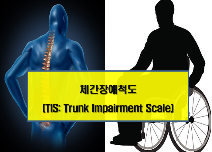체간장애척도 (TIS: Trunk Impairment Scale) : 네이버 블로그