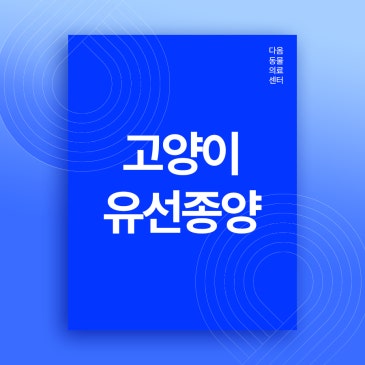 청주 고양이 종양 검사부터 수술, 고양이 유선종양 원인