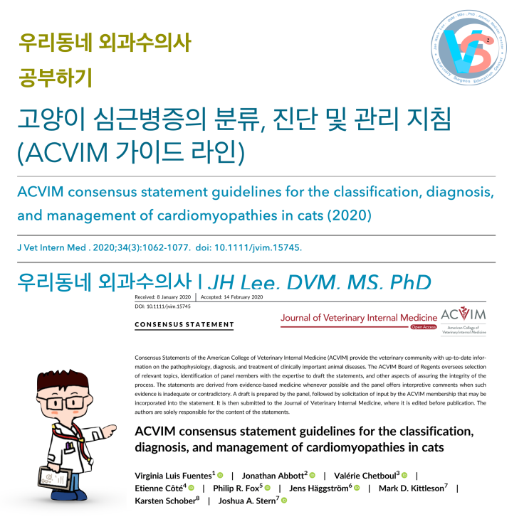 [정리하기] 고양이 심근병증의 분류, 진단 및 관리 지침 (ACVIM 가이드 라인, cardiomyopathies in cats ...