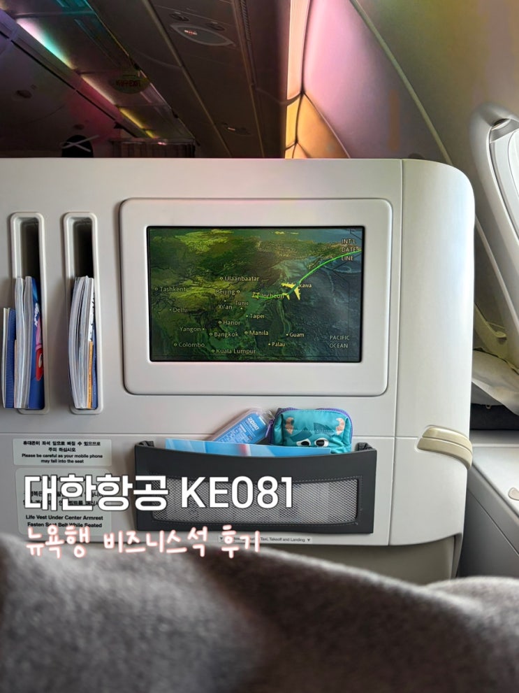 [뉴욕여행] 대한항공 KE081 인천-뉴욕행 비즈니스 좌석 후기 : 네이버 블로그