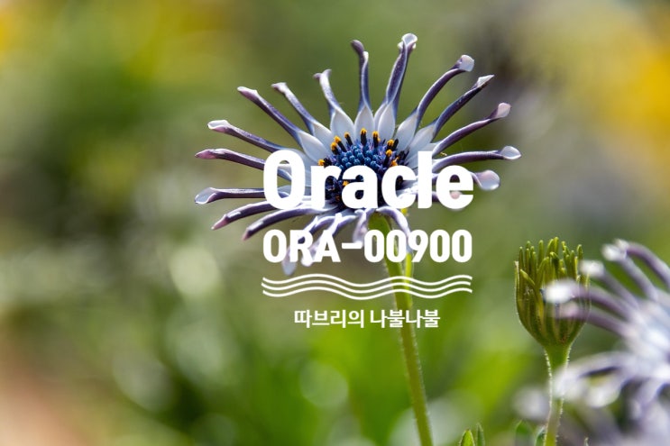 [Oracle] 오라클 ORA-00900 invalid SQL statement : 네이버 블로그