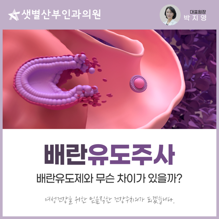 배란유도주사 배란유도제와 무슨 차이가 있을까? : 네이버 블로그