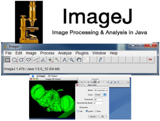 ImageJ : 네이버 블로그