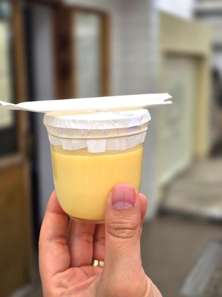 제주 우무 푸딩 후기, 우무 본점 웨이팅 맛 구매후기 : 네이버 블로그