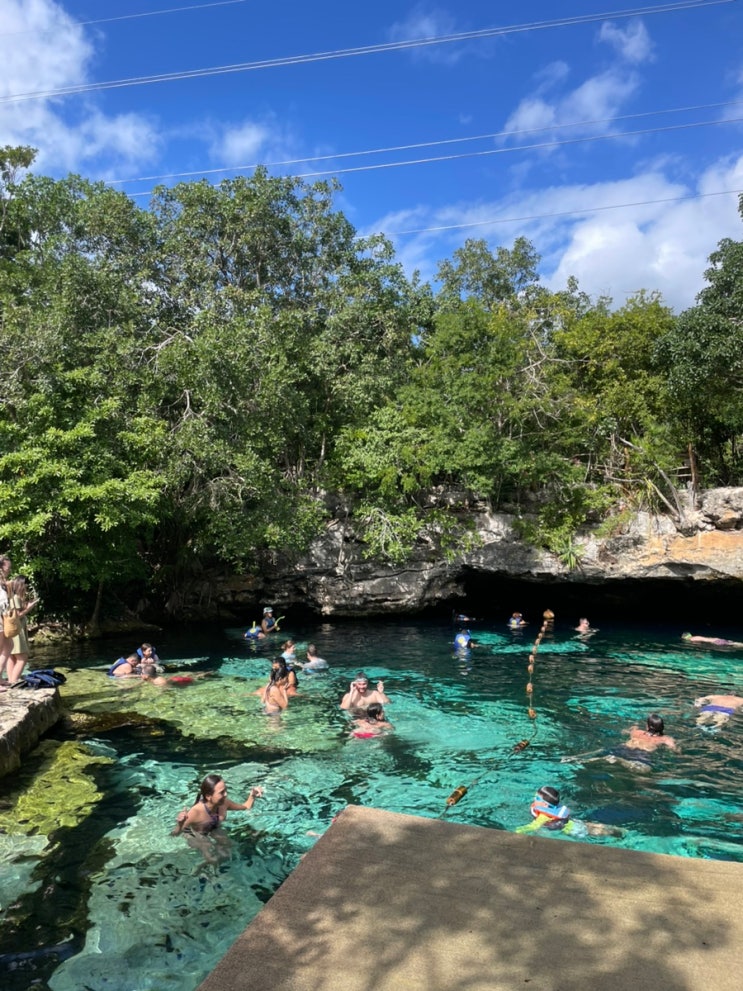 칸쿤 세노테 아즐 Cenote AZUL 자유여행, 준비물과 티켓 가격
