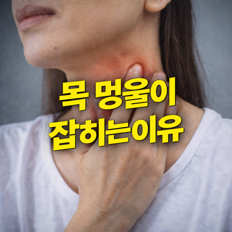 목에 멍울, 무심코 넘기면 안 되는 초기 신호일 수 있습니다 : 네이버 블로그