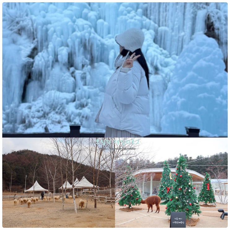 가평 계곡 가볼만한곳 어비계곡 빙벽 양떼목장 카페 겨울 가평여행코스 : 네이버 블로그