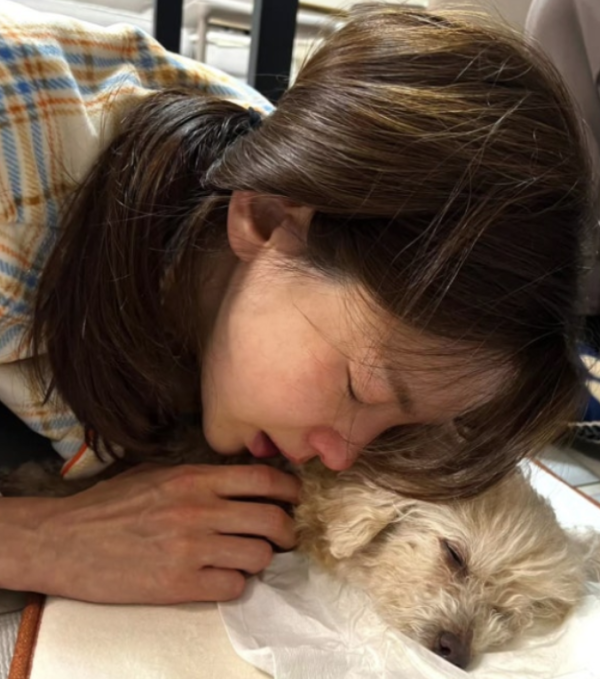 정가은 반려견 루비 사망, "새벽 3시 하늘의 별이 됐다" 눈물의 이별