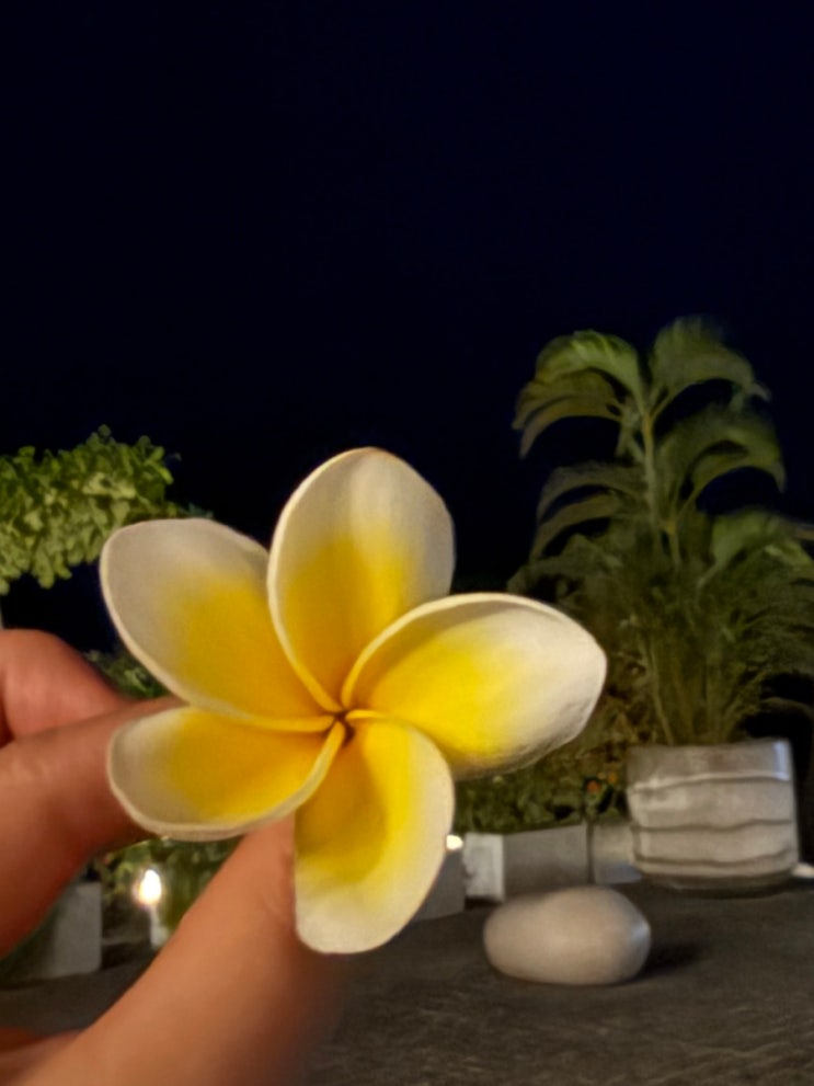 더 리프 아일랜드 리조트 막탄, 세부(The Reef Island Resort Mactan, Cebu)