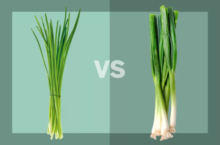 Chives, 차이브는 파일까 허브일까? : 네이버 블로그