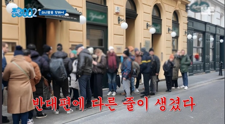 오스트리아 빈 슈니첼 현지인맛집 <슈니첼비르트> 방문후기, 추천 #....