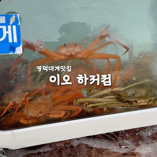 영덕대게맛집 이오 하저점 🦀 바다 앞에서 즐기는 대게 풀코스의 행복 💛 : 네이버 블로그