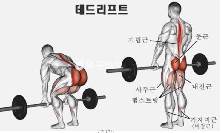 바벨 운동, 꼭 해야 할까? 현직 트레이너가 알려주는 4가지 이유 : 네이버 블로그