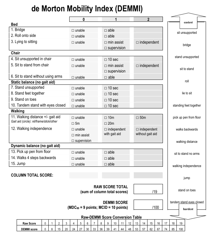 de Morton Mobility Index(DEMMI) : 네이버 블로그