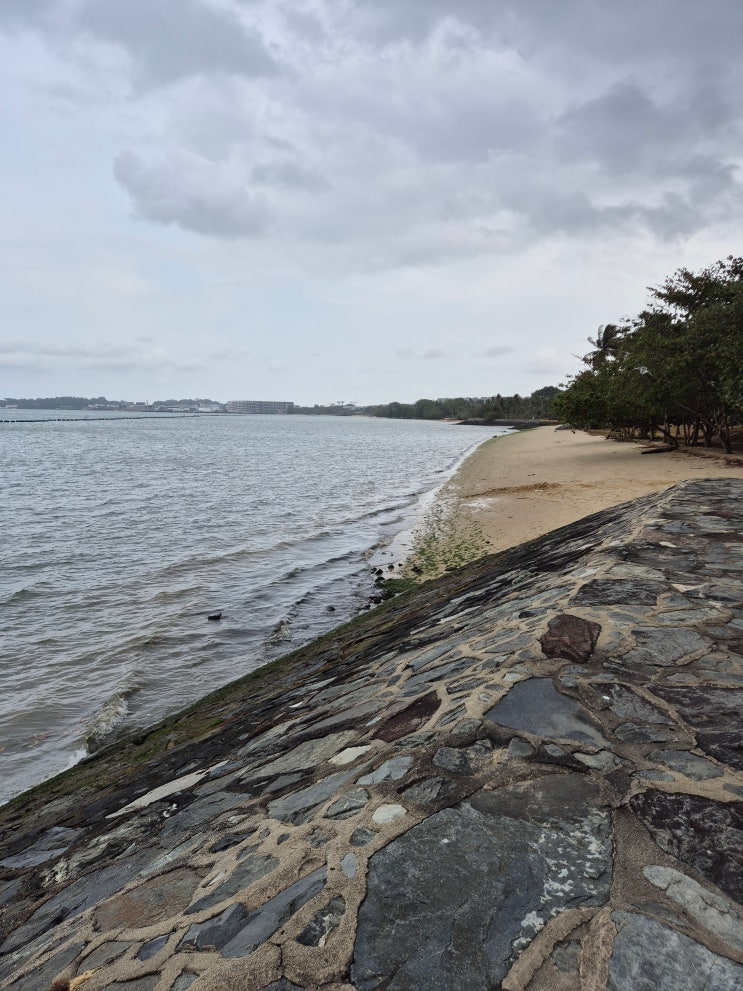 [260205] Pasir Ris Beach & Park : 네이버 블로그