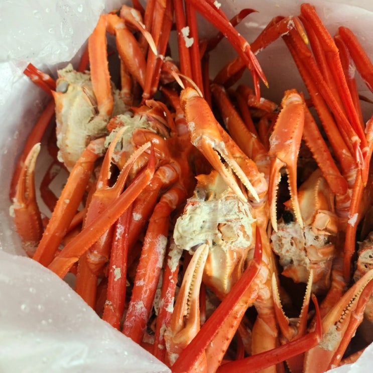 광성홍게장군 속초 3kg 홍게 택배 후기 : 네이버 블로그