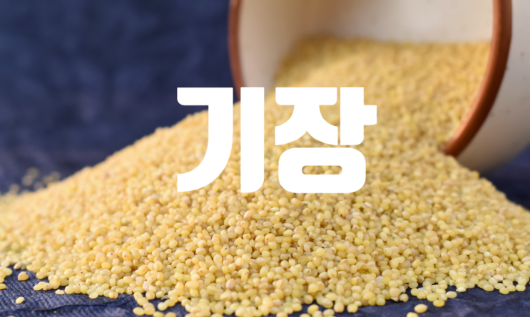 기장쌀 효능 제대로 알고 드세요: 항산화·혈당영향·주의할 부작용 : 네이버 블로그