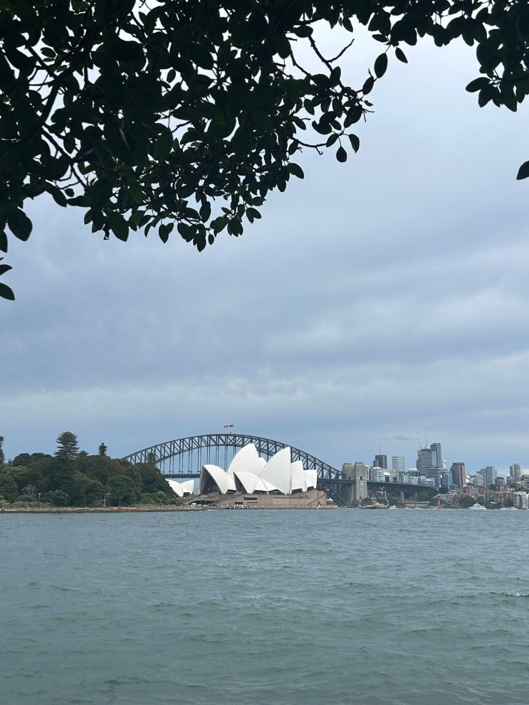 [호주혼여행] Day2: 오페라하우스/The Rocks Market/Royal Botanic Garden 보타닉....