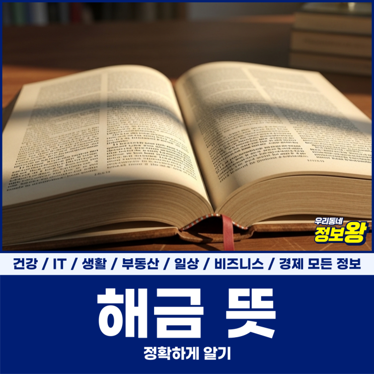 해금 뜻, 정확하게 알기 : 네이버 블로그