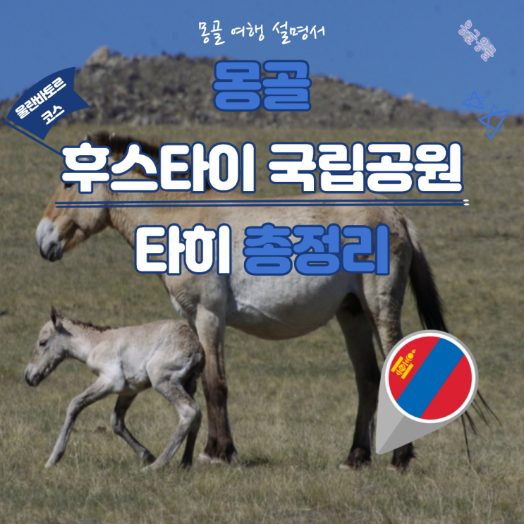 몽골투어 후스타이국립공원 타히 울란바토르 근교 여행 꿀팁