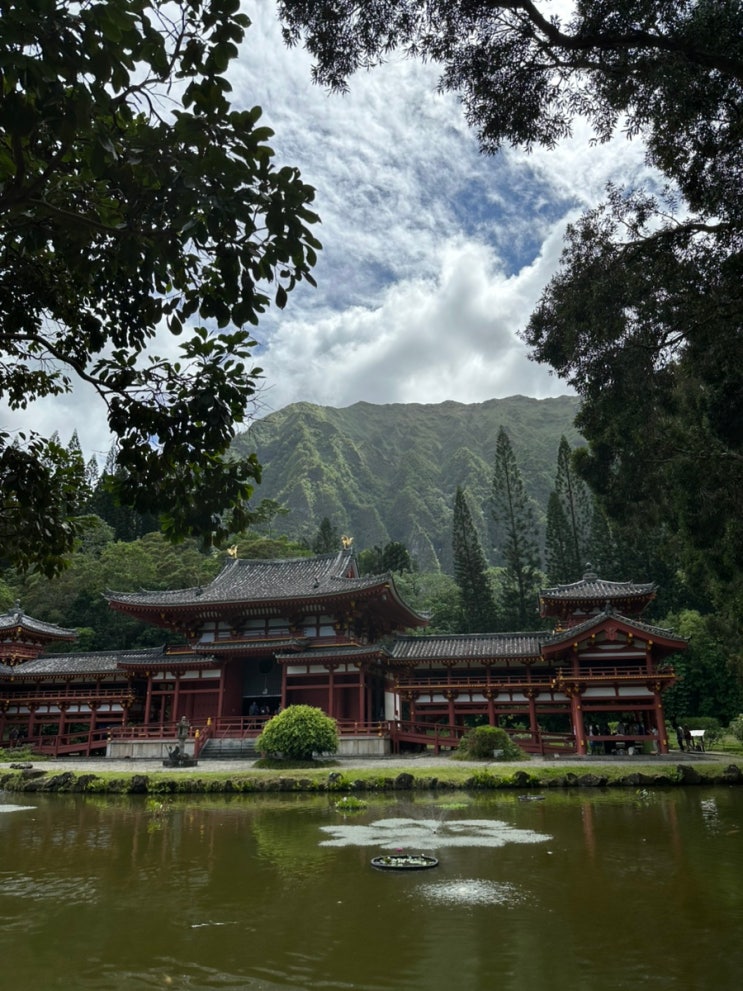 하와이 4일차 뵤도인 사원, 로얄 하와이안 베이커리, 프레쉬캐치 Fres....