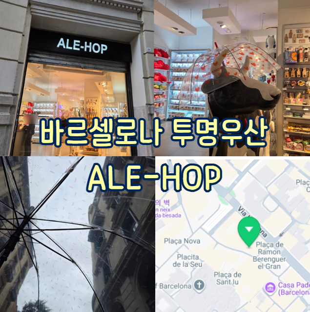 [바르셀로나 : 투명우산] 비오는 날 스냅 준비물 찾아 삼만리 ALE-HOP....