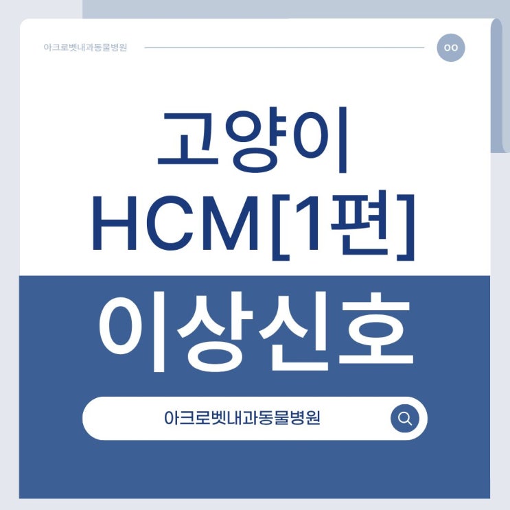 광진구동물병원 고양이hcm 시리즈 1편 : 이상신호의 시작 : 네이버 블로그