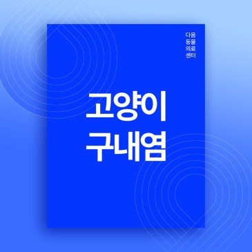 복대동 동물병원 고양이 구내염 원인과 치료방법
