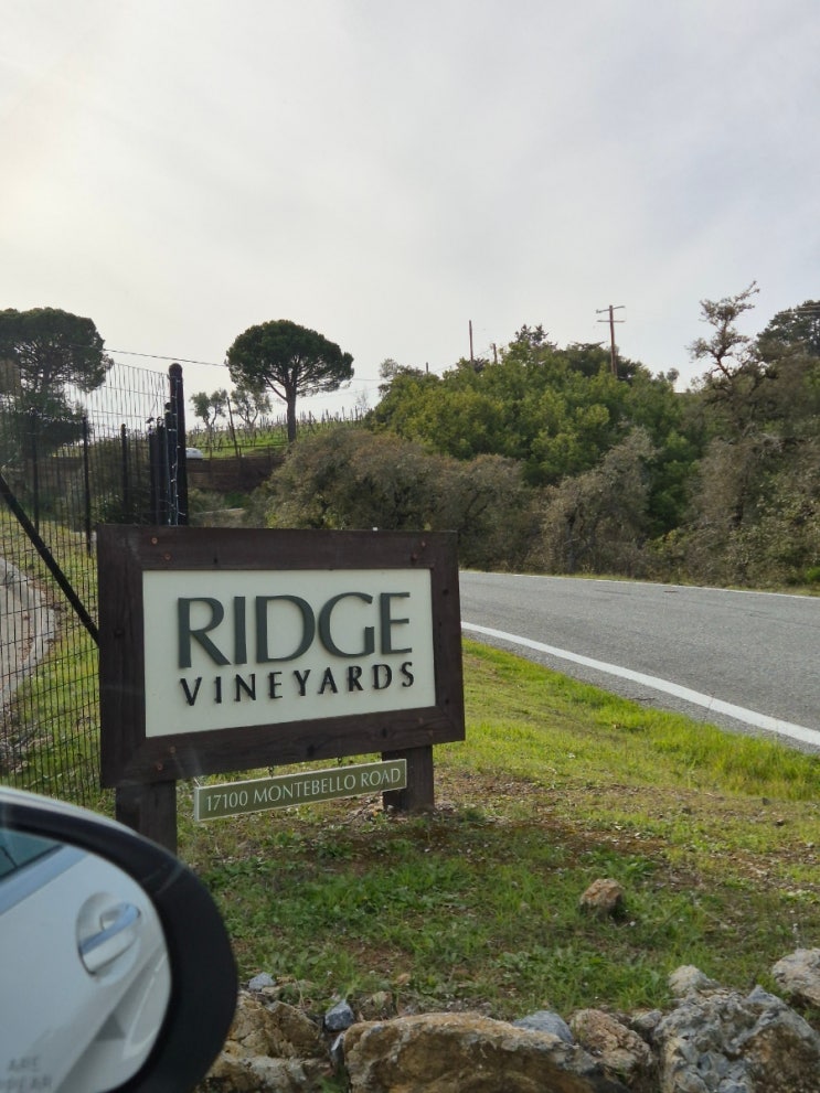 릿지 빈야드(Ridge Vineyards) 방문 : 네이버 블로그