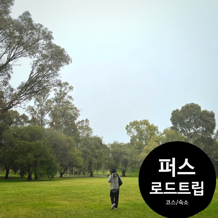 호주 퍼스여행 로드트립 7박9일 코스 공유 - 킹스파크 브런치, 울월스 쇼핑 : 네이버 블로그