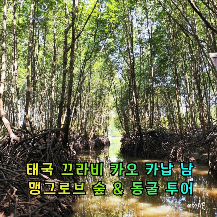 태국 끄라비 명소 카오 카납 남 맹그로브 숲 & 동굴 투어 힐링 후기