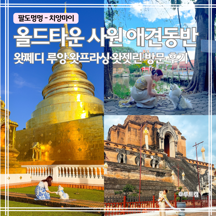 치앙마이 올드타운 애견동반 사원｜왓체디 루앙·왓프라싱·왓쩻린 ....