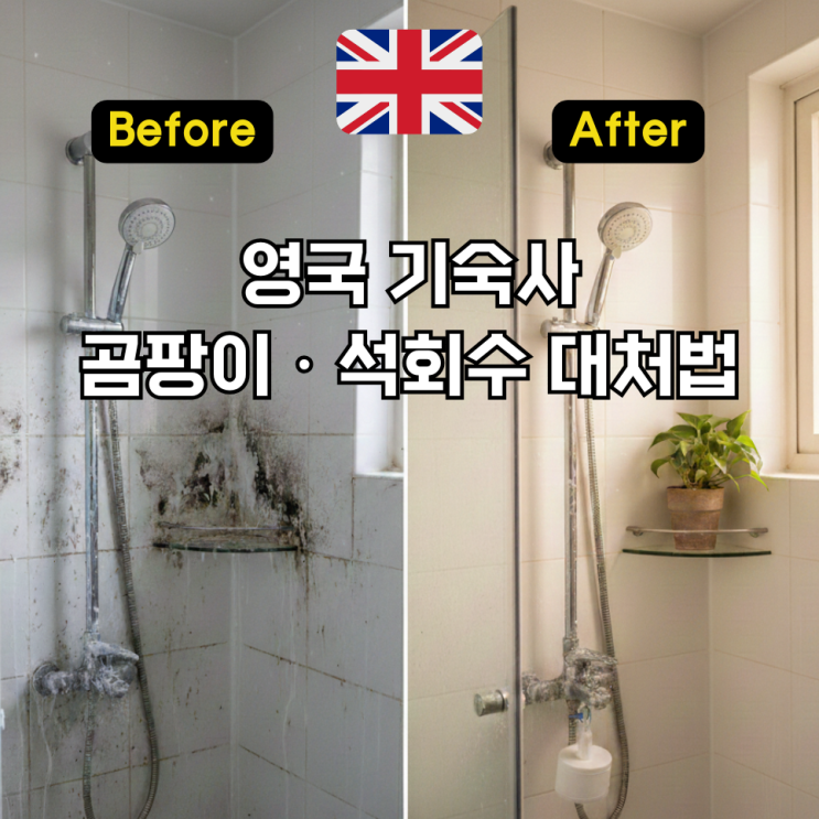 영국 기숙사 삶의 질 200% 올리기: 곰팡이·석회수·화재경보 완벽 대처 가이드 : 네이버 블로그