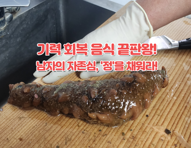 해삼 효능, 기력 회복 음식이자 정력에도 좋은 : 네이버 블로그