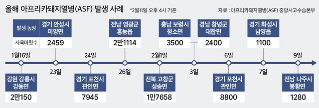 올해 ASF 발생 지속…차단방역 강화 [26년 2월 12일 뉴스] : 네이버 블로그