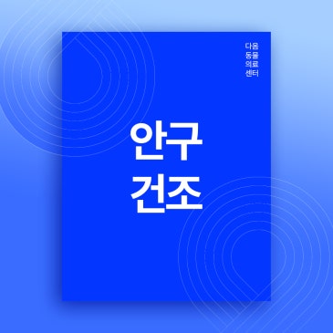 청주 강아지 노란 눈곱, 안구건조증 원인